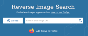 Screenshot - TinEye Reverse Image Search